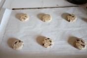 Gluten Free Oatmeal Raisin Cookies (Egg Free) - The Gluten Free Gathering