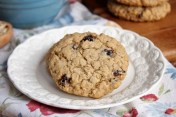 Gluten Free Oatmeal Raisin Cookies (Egg Free) - The Gluten Free Gathering